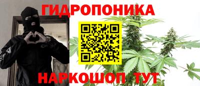 гашик Кунгур